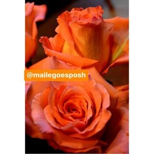 Art Photograph Print peach orange roses rose bouquet floral flowers 8X10”